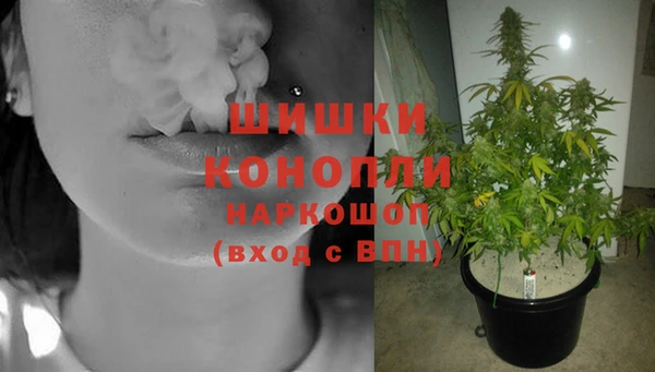 экстази Вяземский