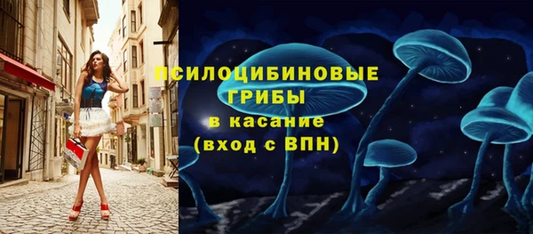 экстази Вяземский