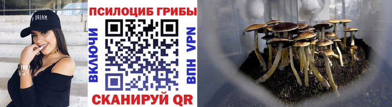 купить   hydra ССЫЛКА  Галлюциногенные грибы Cubensis  Ельня 